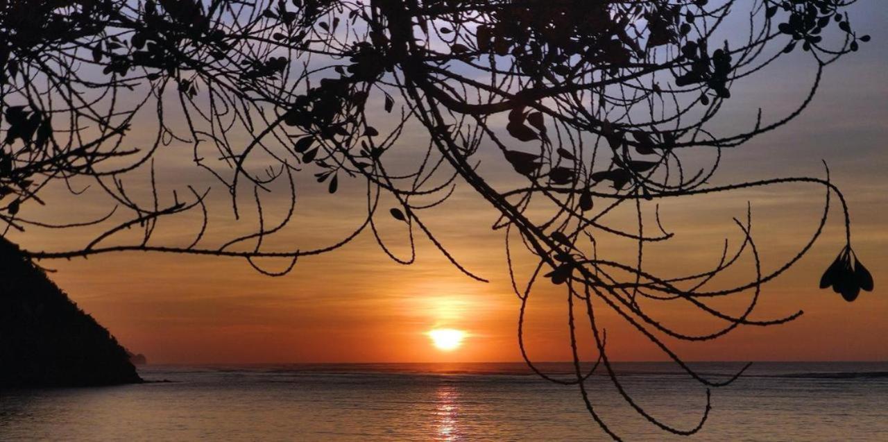 Firesky Glamping Ocam Ocam Beach New Busuanga المظهر الخارجي الصورة